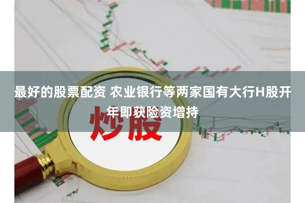 最好的股票配资 农业银行等两家国有大行H股开年即获险资增持