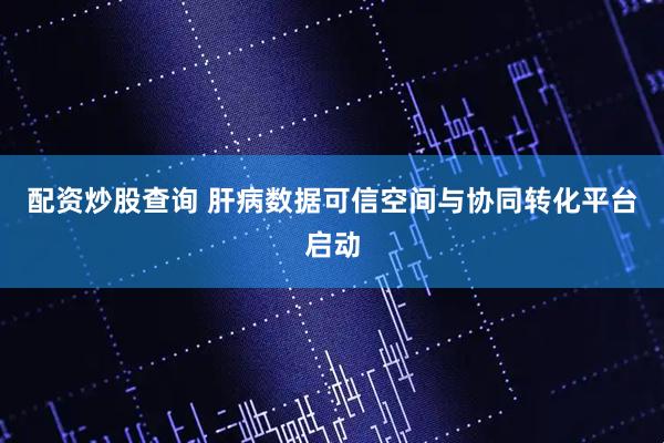 配资炒股查询 肝病数据可信空间与协同转化平台启动